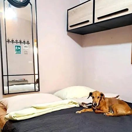 Elegant In The Historic Center Apartamento *